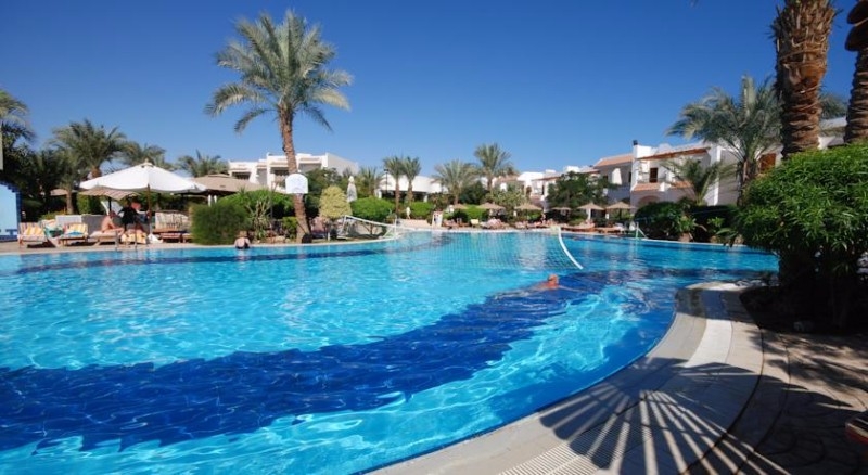 تيم شيرللبيع بفندق Dive Inn Resort Sharm El Sheikh