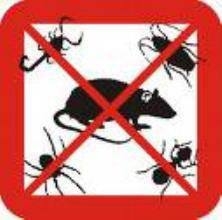 &quot;نحن متخصصون فى  مكافحة الحشرات الزاحفة والطائرة  والقضاء على الصراصير