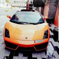بيع سياره Lamborghini gallardo