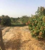 أرض زراعية 5 فدان في طريق مصر الاسكندرية الصحراوي للبيع