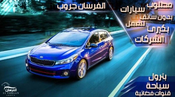 شركات كبرى تطلب للعمل لديها فورا سيارات بدون سائق بدخل مجزى شهرياً