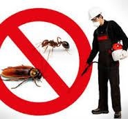  رش المبيدات ومكافحة الحشرات شركة المتميزون