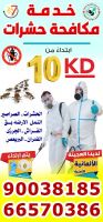 تجربتي مع شركة مكافحة الحشرات شركة مكافحة حشرات في الكويت ت: 90038185