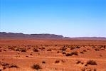 اراضي للمحميات شاسعة الصحراء المغربية ابتداءا من 3000هكثار 