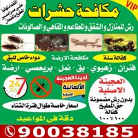 شركة مكافحة حشرات الكويت مجربة ومضمونة ت: 90038185