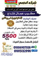 مطلوب عمال انتاج #للرجال_فقط طبيعة العمل- براتب 5500ج